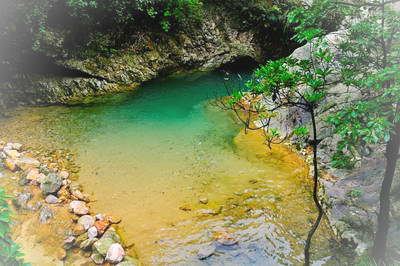 佛山南海湾森林生态园