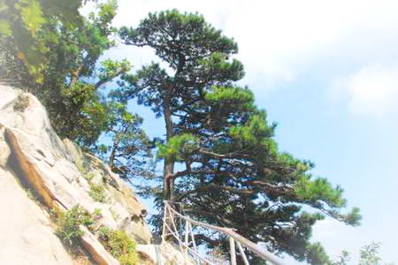 大连老帽山景区