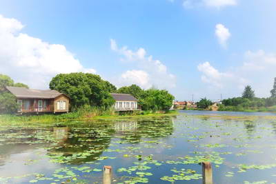 上海金龟岛渔村