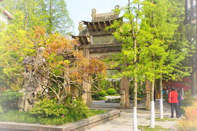 上海闵行古藤园
