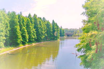 上海奉贤海湾森林公园