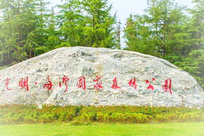 上海奉贤海湾森林公园