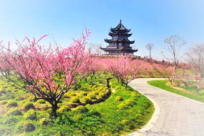 上海奉贤海湾森林公园
