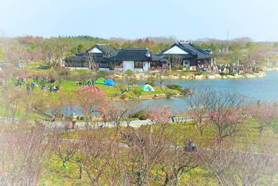 上海奉贤海湾森林公园