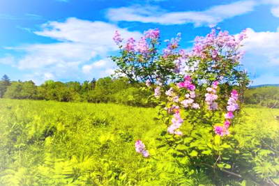 亚布力虎峰岭景区