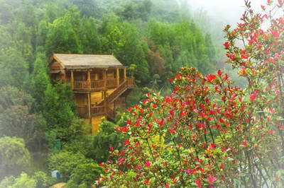 六盘水梅花山旅游景区