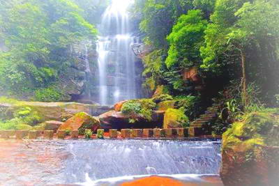 赤水燕子岩森林公园
