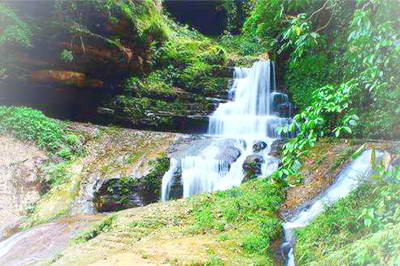 赤水燕子岩森林公园