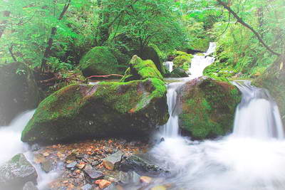 柞水九天山景区