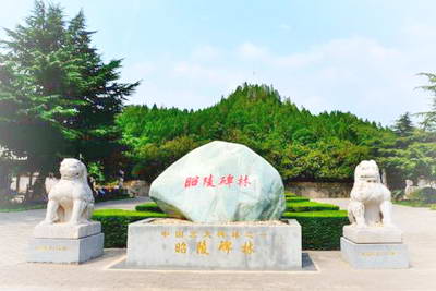 咸阳礼泉昭陵博物馆