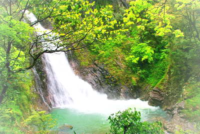 南平武夷山景区