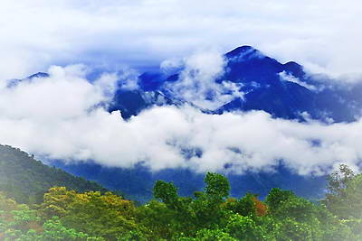 台湾嘉义阿里山景区
