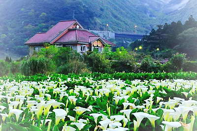 台湾省阳明山国家公园