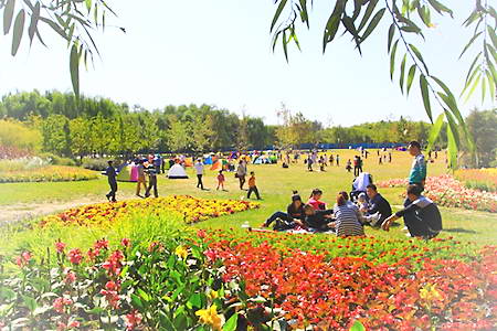 北京海淀公园