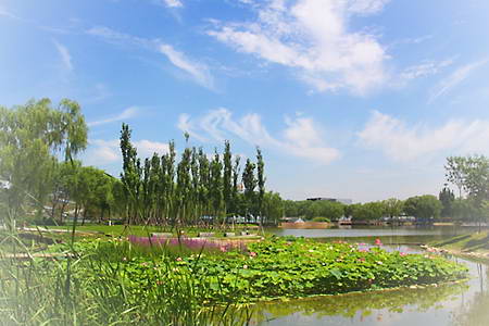 北京海淀公园