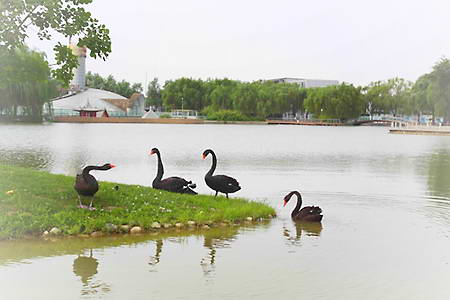北京海淀公园