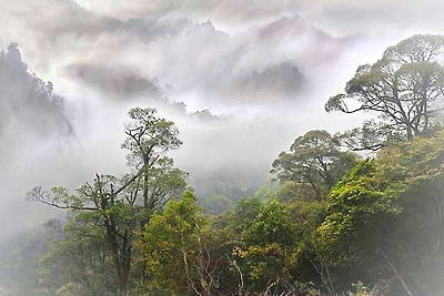 黔东南雷公山森林公园
