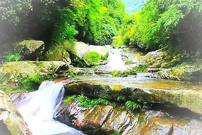 黔东南雷公山森林公园