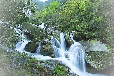 平江福寿山森林公园