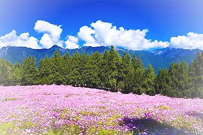 平江福寿山森林公园