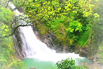 武夷山大安源景区