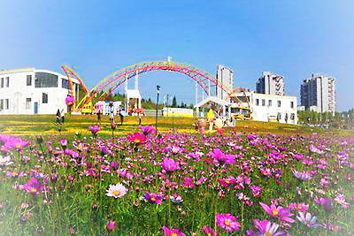 建阳卧龙湾花花世界景区
