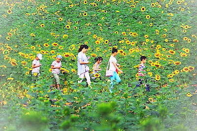 建阳卧龙湾花花世界景区