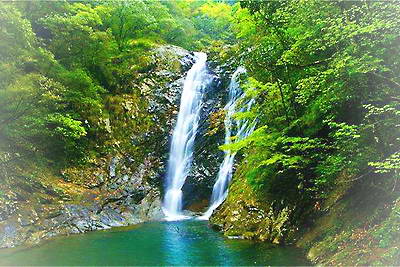武夷山龙归源景区