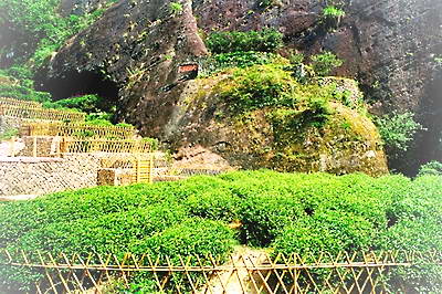 武夷山大红袍景区