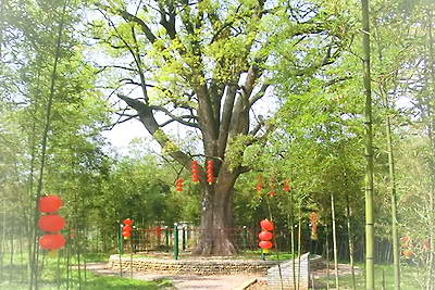 乐活来布景区