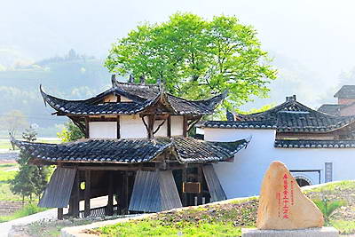 政和凤头楠木林景区