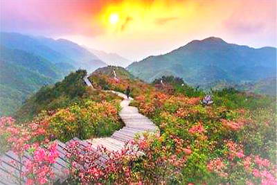 红河屏边大围山公园