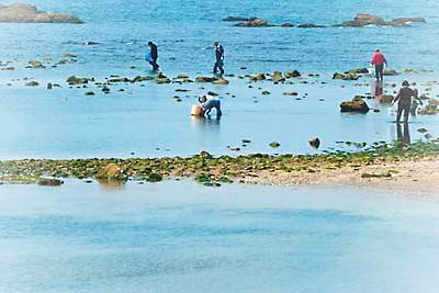 威海小石岛赶海公园