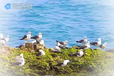 荣成鸡鸣岛