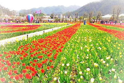 十堰黄龙壹号生态园