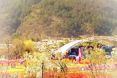 十堰黄龙壹号生态园