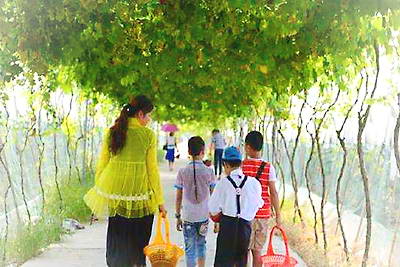 荆州石首龙泉农业生态园