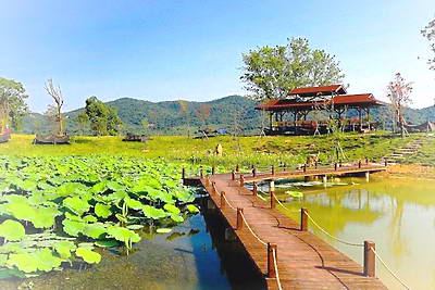 松滋洈水风景区