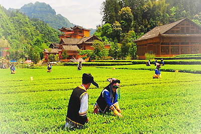 唐崖土司黄金洞景区