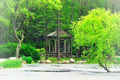 八峰森林公园游玩攻略 鹤峰八峰森林公园好玩吗