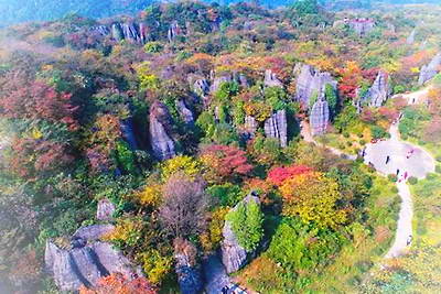 重庆南川山王坪景区