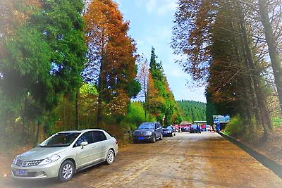 重庆南川山王坪景区