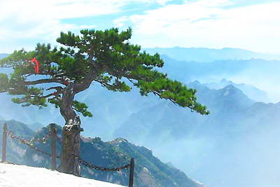 洛南秦岭观华山*