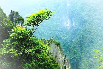 涪陵雨台山风景区