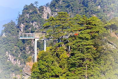 井冈山杜鹃山景区
