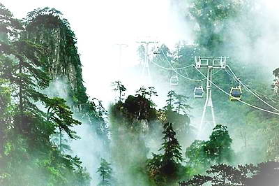 井冈山杜鹃山景区