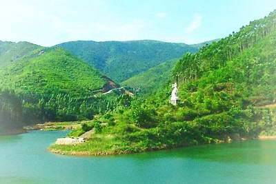 宾阳白鹤观竹海
