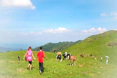 于都屏山牧场