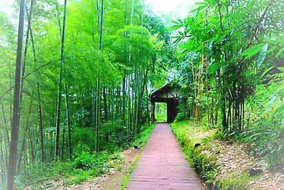 赤水竹海森林公园