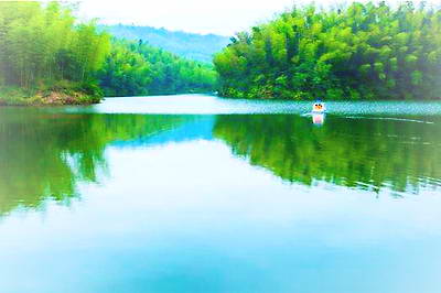 赤水竹海森林公园